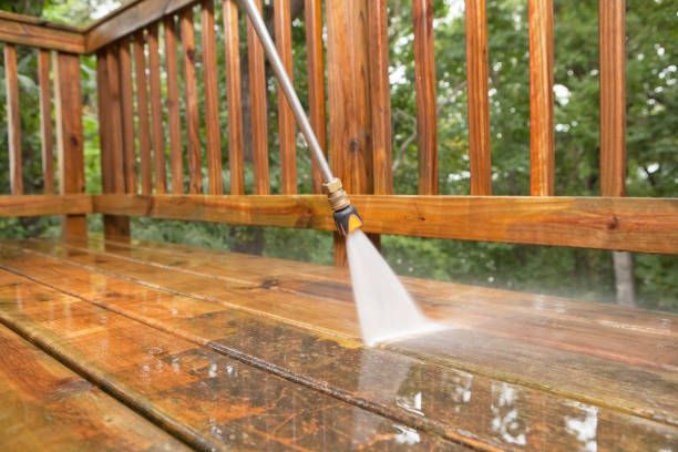 Best Gutter Cleaning  in Cambridge, MN